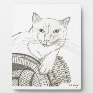Cat Ragdoll Portrait Plaque Fotoplatte