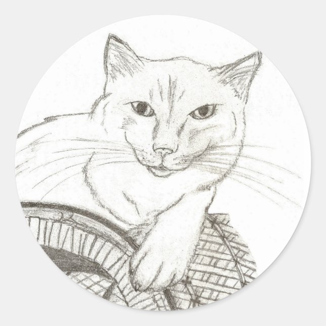 Cat Ragdoll Portrait Round Stickers - Set von 20 (Vorderseite)