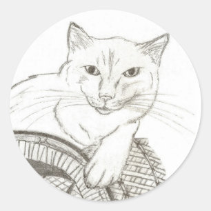 Cat Ragdoll Portrait Round Stickers - Set von 20