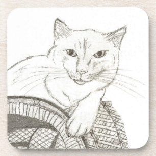 Cat Ragdoll Portrait Untersetzer - Set 6
