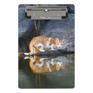 Cat Reflection in Pond Water Funny Animal Foto - Mini Klemmbrett