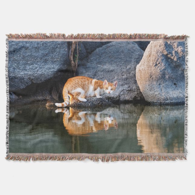 Cat Reflection in Pond Water Funny Foto - Decke (Vorderseite)
