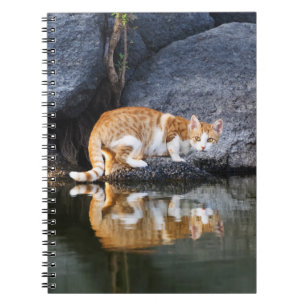 Cat Reflection in Pond Water Funny Foto - Notizblock