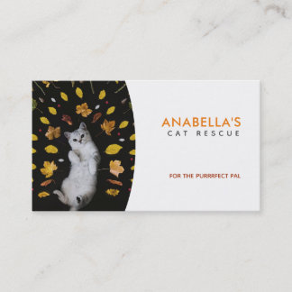 Cat Rescue Slogans Visitenkarten Visitenkarte