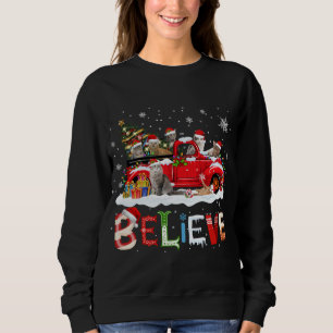 Cat Riding Red Truck Weihnachtsbaum glauben Santa Sweatshirt