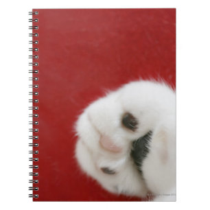 Cat’s paw notizblock