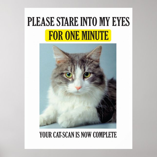 Cat Scan Poster (Vorne)