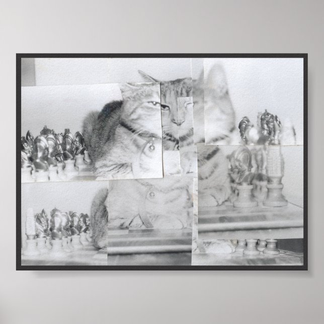 Cat Schach Poster (Vorne)