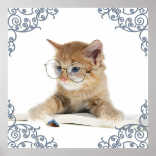 Cat Scholar Poster