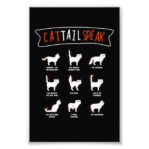 Cat Schwanz Speak Cat Kitten Meow Tier Fotodruck