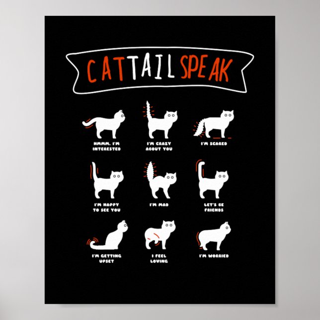 Cat Schwanz Speak Cat Kitten Meow Tier Poster (Vorne)