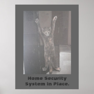Cat Security Poster