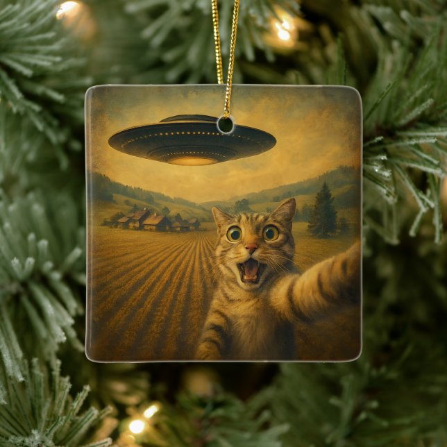 Cat Selfie mit Alien UFO Funny Cat Geschenke Keramikornament (Baum)