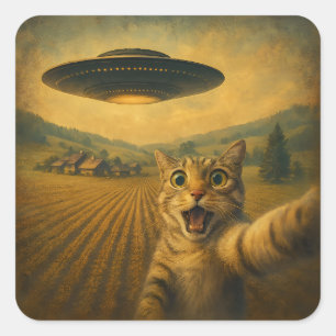 Cat Selfie mit Alien UFO Funny Cat Geschenke Quadratischer Aufkleber