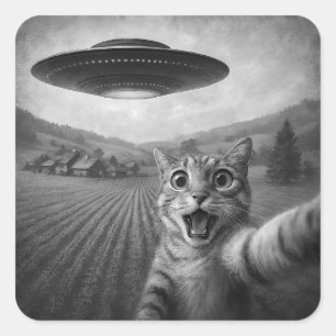 Cat Selfie mit Alien UFO Funny Cat Geschenke Quadratischer Aufkleber
