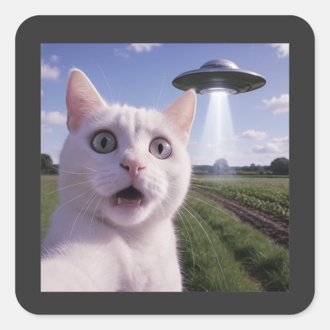 Cat Selfie mit Alien Ufo Quadratischer Aufkleber (Vorderseite)