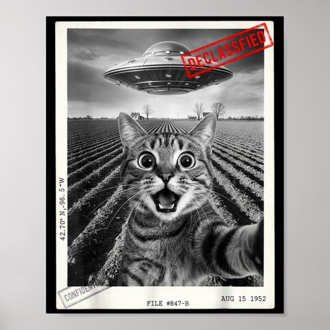 Cat Selfie Ufo Alien Funny Surprised Cat Meme Men  Poster (Vorne)
