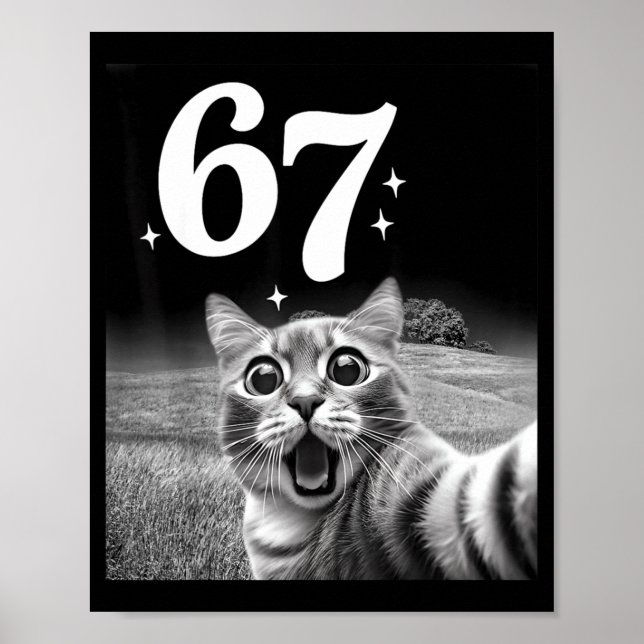 Cat Selfie With 67 Meme Funny Cats Graphic For Men Poster (Vorne)