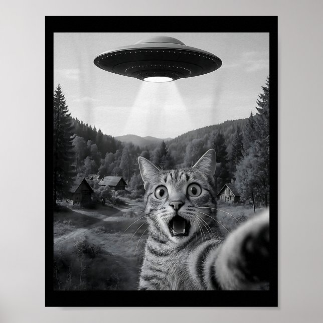 Cat Selfie With Alien Ufo Funny Cat Funny Ed Cat  Poster (Vorne)