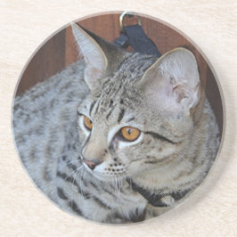 Cat Series - Serval Savannah Cat - Untersetzer