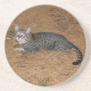 Cat Series - Serval Savannah Cat - Untersetzer