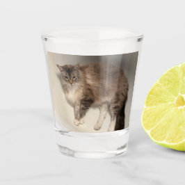Cat Shot Glass Schnapsglas
