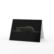 Cat Silhouette