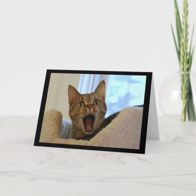 Cat Singing Happy Birthday Karte (Vorderseite)