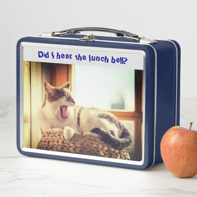 Cat Sitter Spaß Metal Lunch Box (Beispiel)