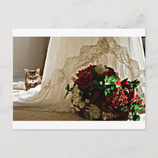 Cat Sitting Behind Wedding Dress Postkarten