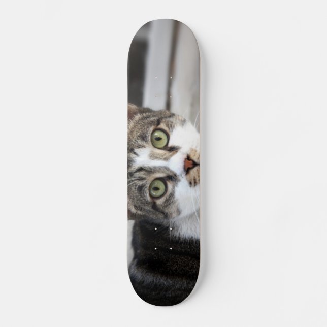 Cat Skateboard (Vorderseite)