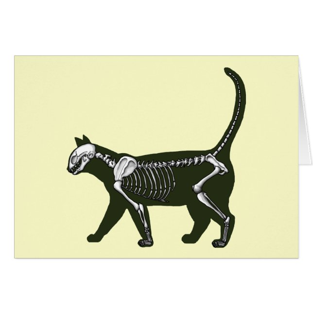 Cat Skeleton (Vorderseite (Horizontal))