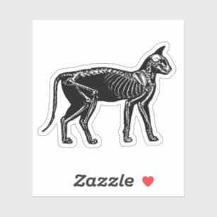 Cat Skeleton Aufkleber