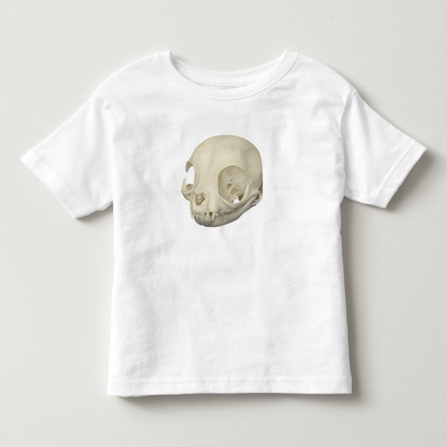 Cat Skull Kleinkind T-shirt (Vorderseite)