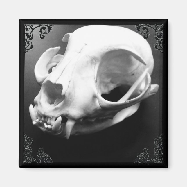 Cat Skull Taxidermy Gothic Magnet (Vorne)