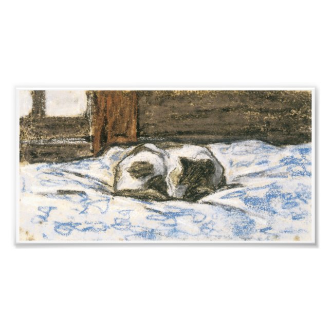 Cat Sleeping auf einem Bett von Claude Monet Fotodruck (Vorne)