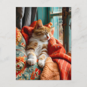 Cat Sleeping by Window with Pillow and Blanket Postkarte