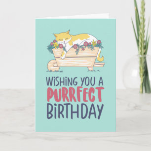 Cat Sleeping Funny Cat Lover Purfect Geburtstag Karte