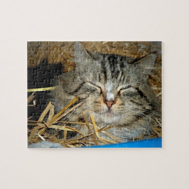 Cat Sleeping Kitty Foto Puzzle (Horizontal)