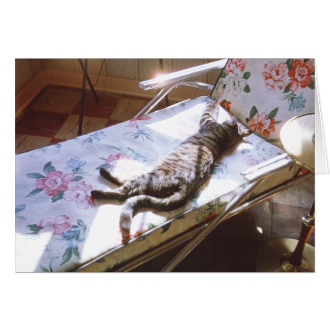 Cat Sleeping on Chaise Lounge Retro Kitten Picture (Vorderseite (Horizontal))
