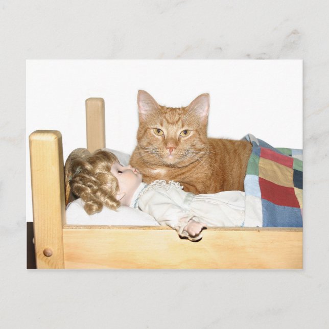 Cat slumber Party Postkarte (Vorderseite)