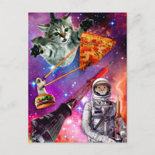 Cat Space Federation Postkarte