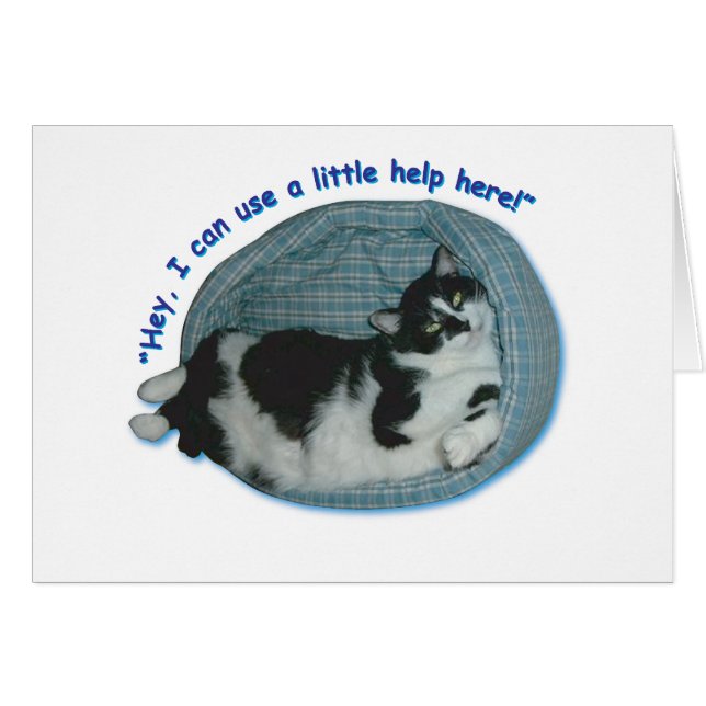 Cat Spaß (Vorderseite (Horizontal))