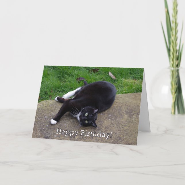 Cat Spaß Geburtstag Karte (Vorderseite)