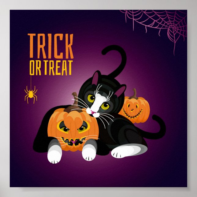 Cat Spaß zu Halloween beim Spielen mit den Kürbiss Poster (Vorne)