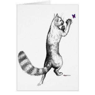Cat Springing