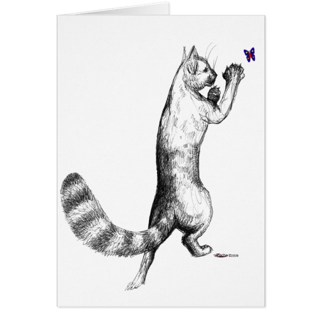 Cat Springing (Vorne)