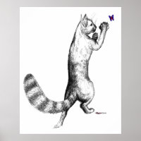Cat Springing