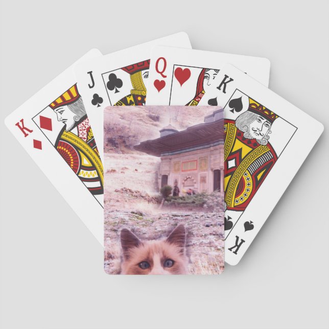 Cat Stare Classic Playing Cards Spielkarten (Rückseite)