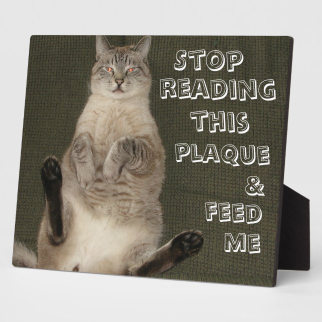 Cat "STOP LESE This PLAQUE & FÜTTRE ME" Plaque Fotoplatte (Seite)